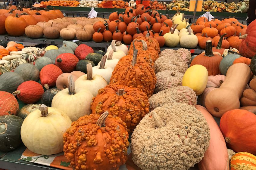 The Official Circleville Pumpkin Show site