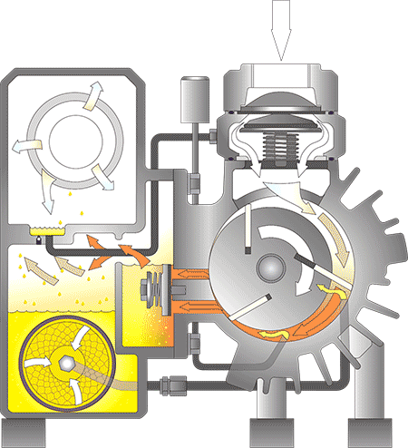 Rotary Vane Vacuum Pump