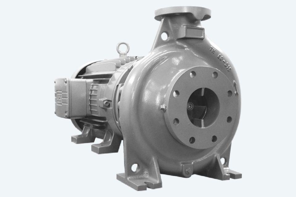 End Suction Pumps EBARA Pumps Americas Corp