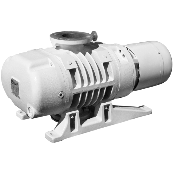 Pumps International, Inc.ws250b Pumps International, Inc.