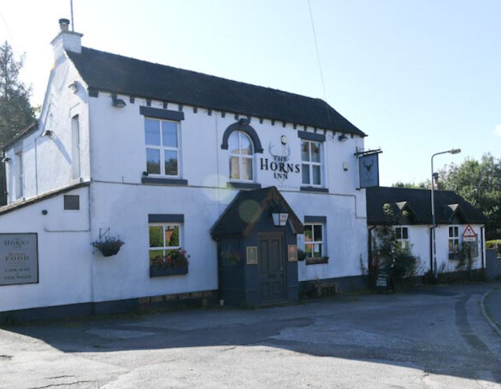 CaptureHorns Punch Pubs