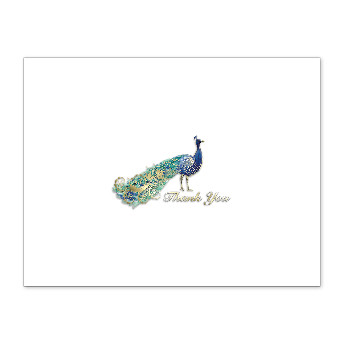 Peacock Thank You Cards Punch Studio