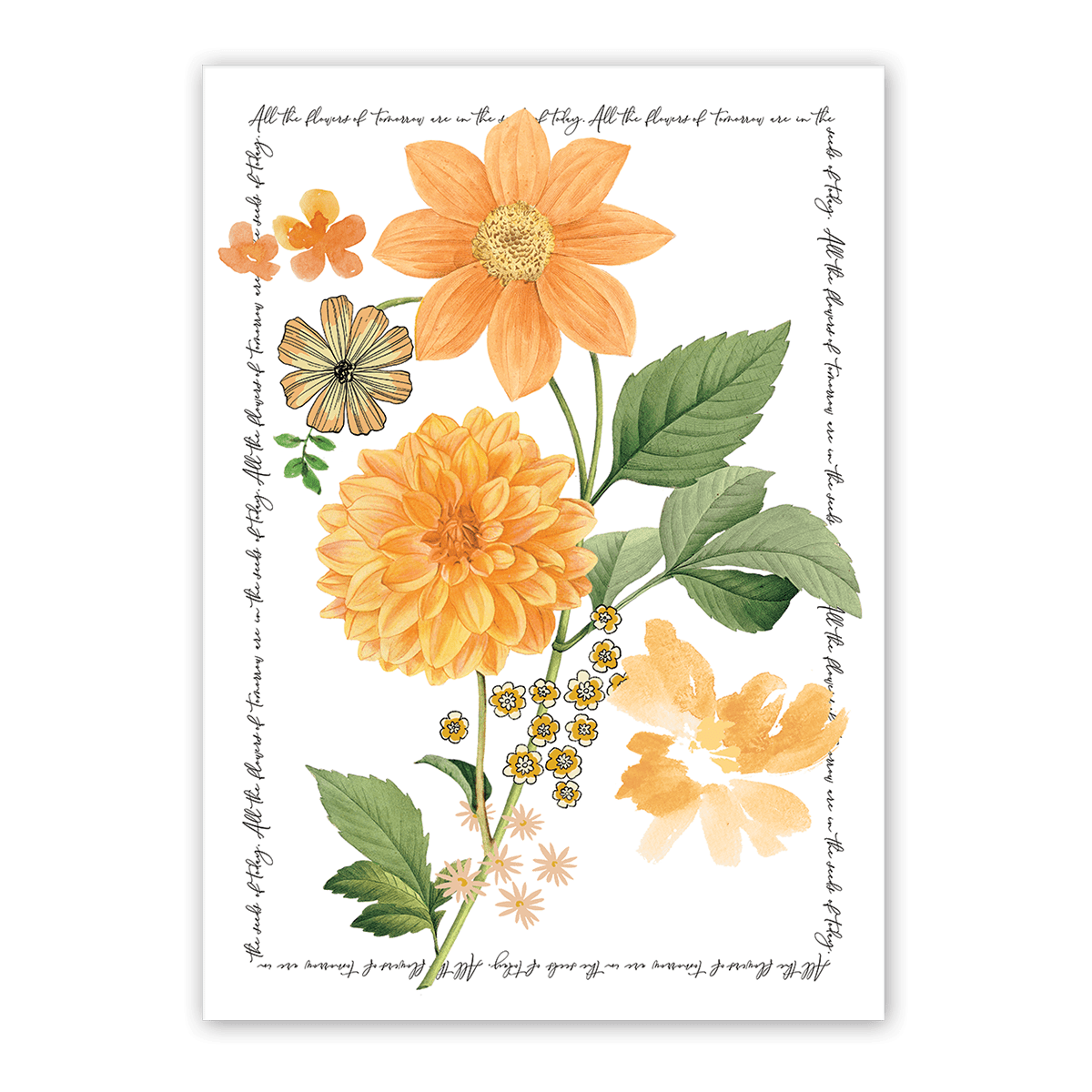 Notable Floral Book Box Set Punch Studio