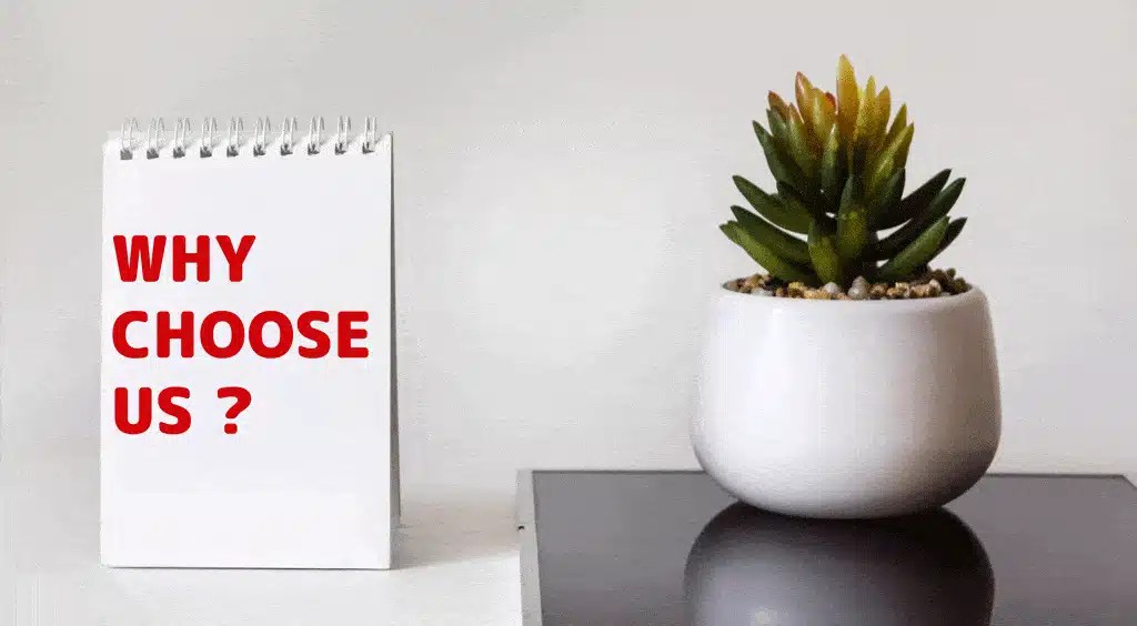 Garbage Disposal Repair Dallas, TX Benjamin Franklin