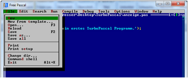 PUP Programmieren und Problemlösen