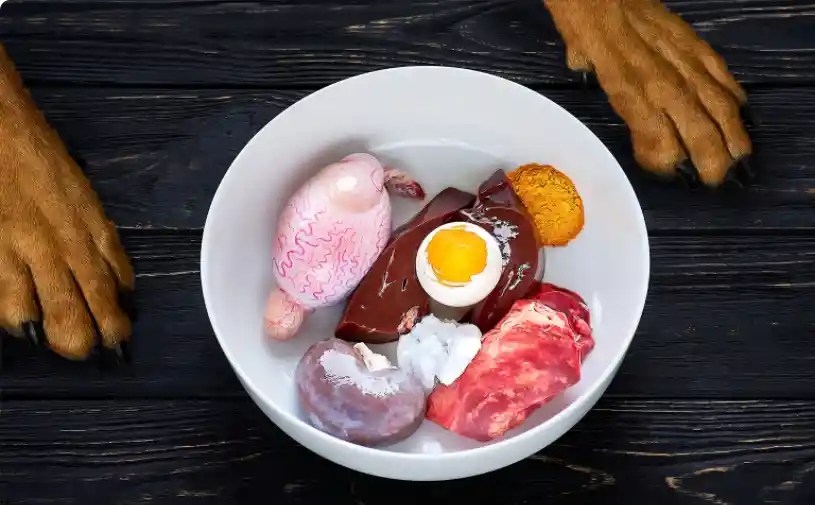 Why Is My Dog Always Hungry On A Raw Diet? Puppies Diary