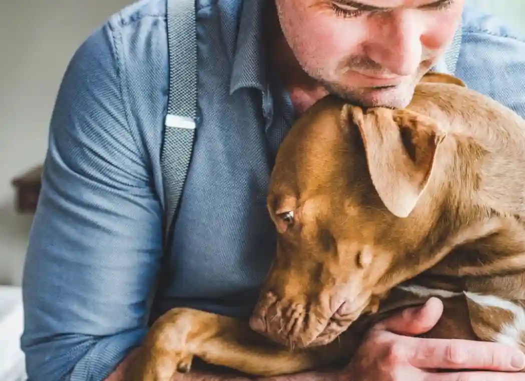 Do Dogs Know When You Are Sick? [5 Amazing Facts] Puppies Diary