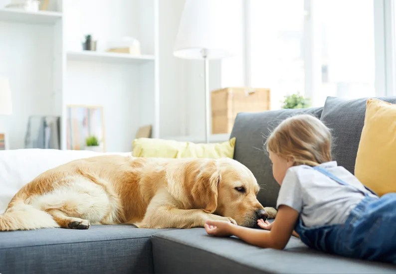 Why Does My Dog Not Like Me But Like Everyone Else? 5 Reasons & Vet