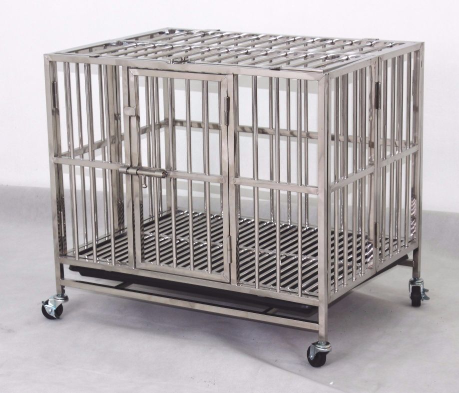 Stainless Steel Dog Cages Dog Training School