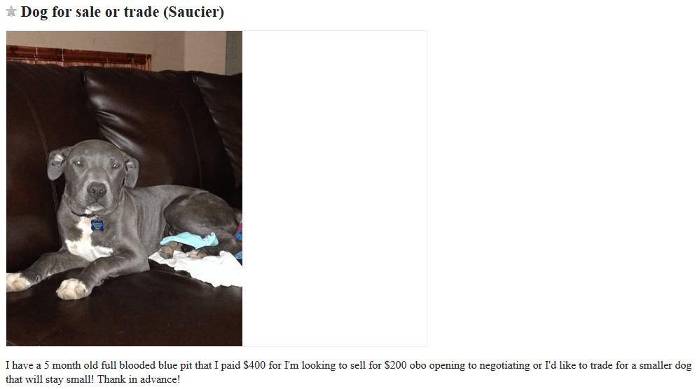 Craigslist Dogs For Trade Puppy Leaks