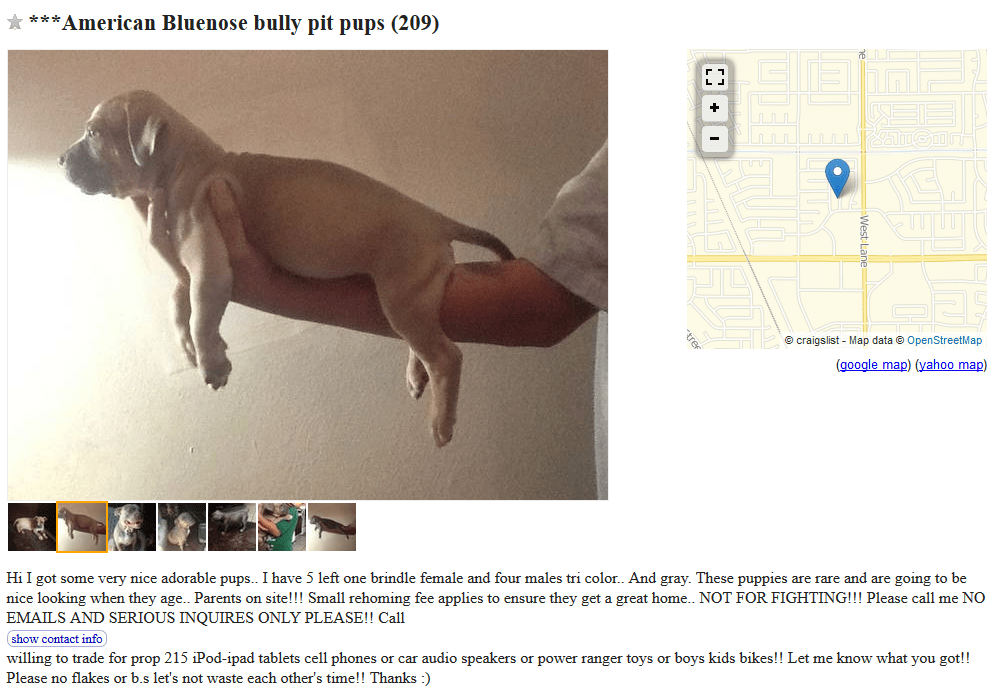 Craigslist Dogs For Trade Puppy Leaks