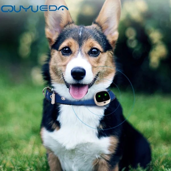 Waterproof Pet GPS WIFI Tracker Support Geofence Collars For Dogs