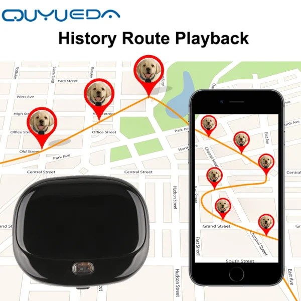 Waterproof Pet GPS WIFI Tracker Support Geofence Collars For Dogs