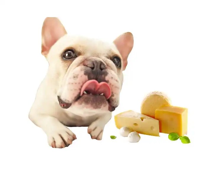 What Happens When a Dog Eats Cheese puppy schedule