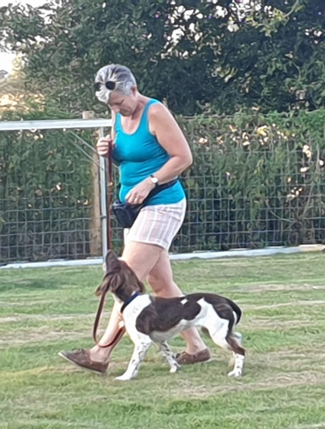 Dog training classesrescue classesPup School SuffolkWortham