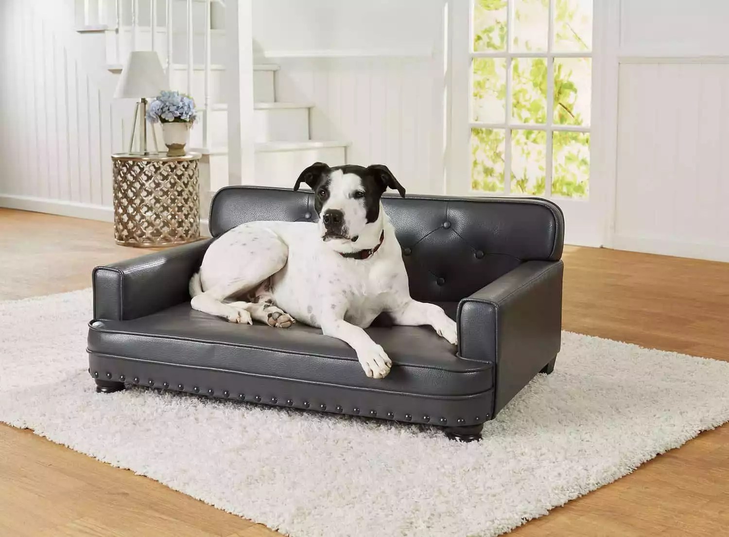12 Best Dog Beds For German Shepherds The Comfiest Picks