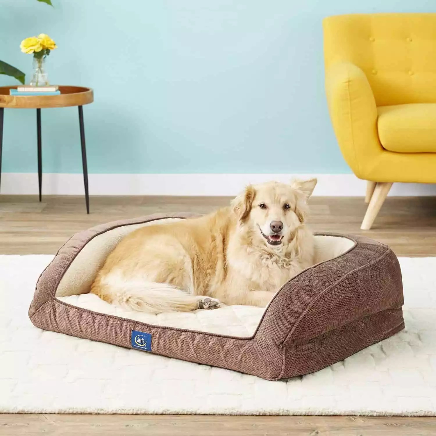 Top 16 Best Dog Beds For Doberman Pinschers + Buyer's Guide