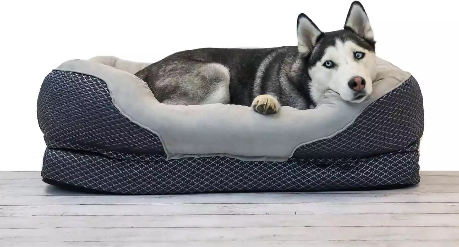 12 Best Dog Beds For German Shepherds The Comfiest Picks