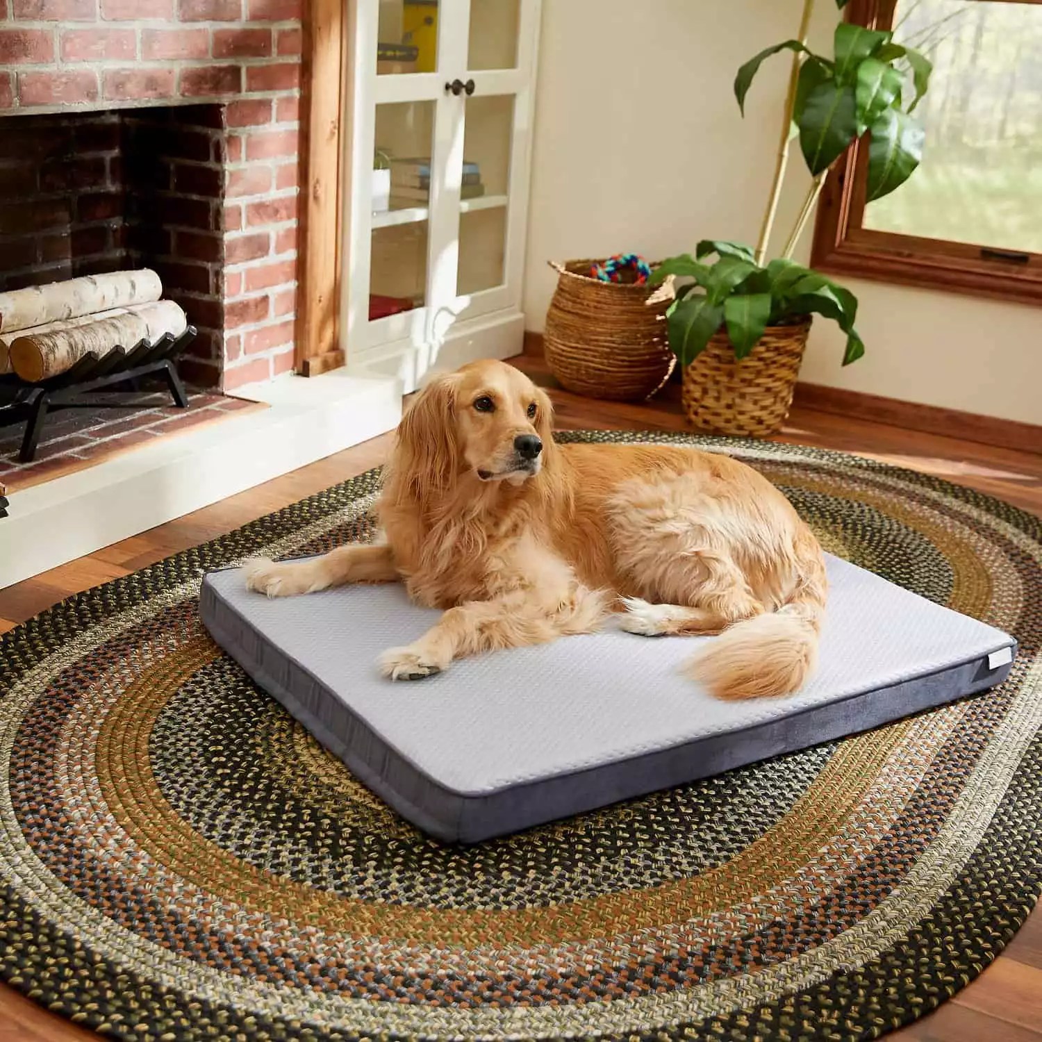 12 Best Dog Beds For German Shepherds The Comfiest Picks