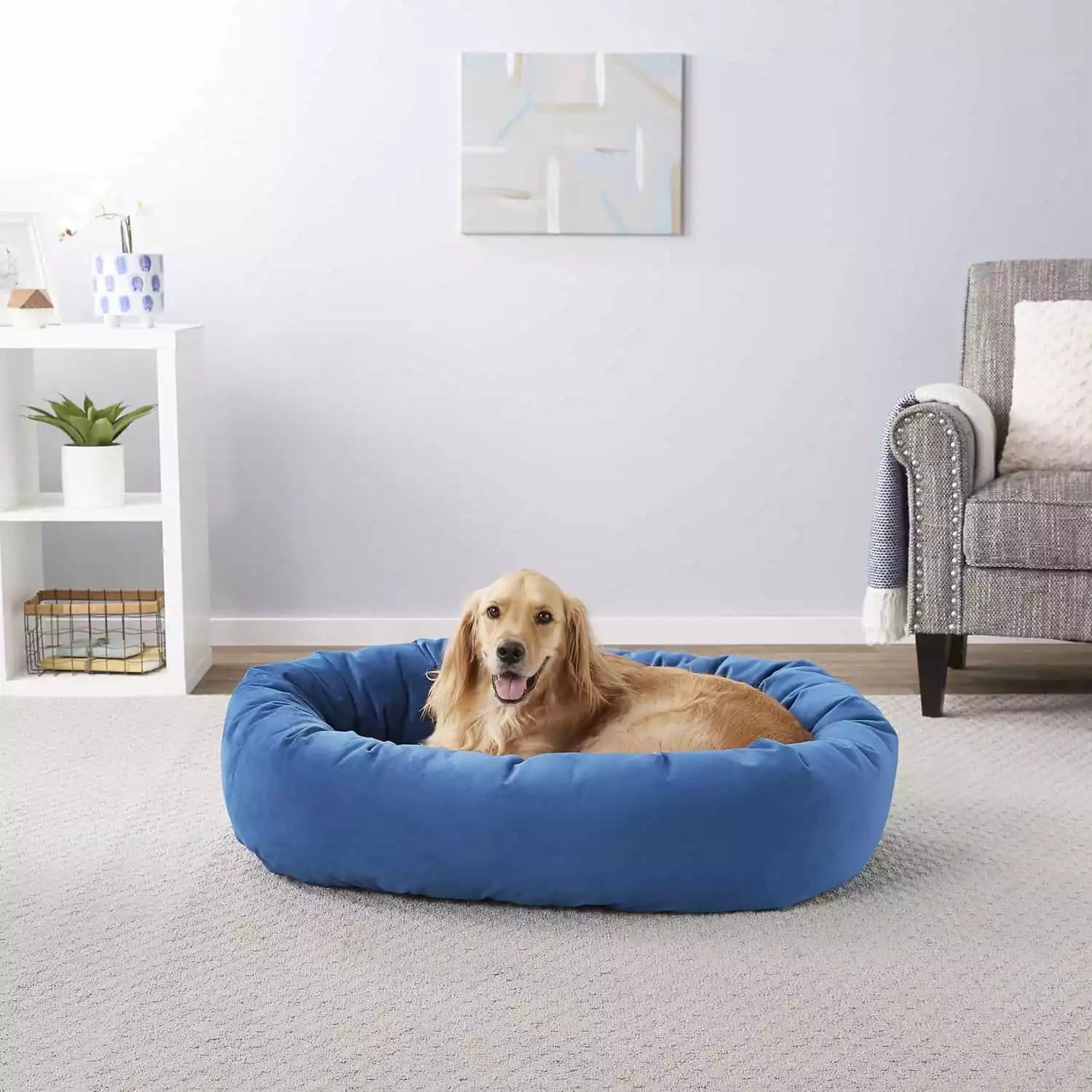 12 Best Dog Beds For Great Danes Cozy KingSize Picks
