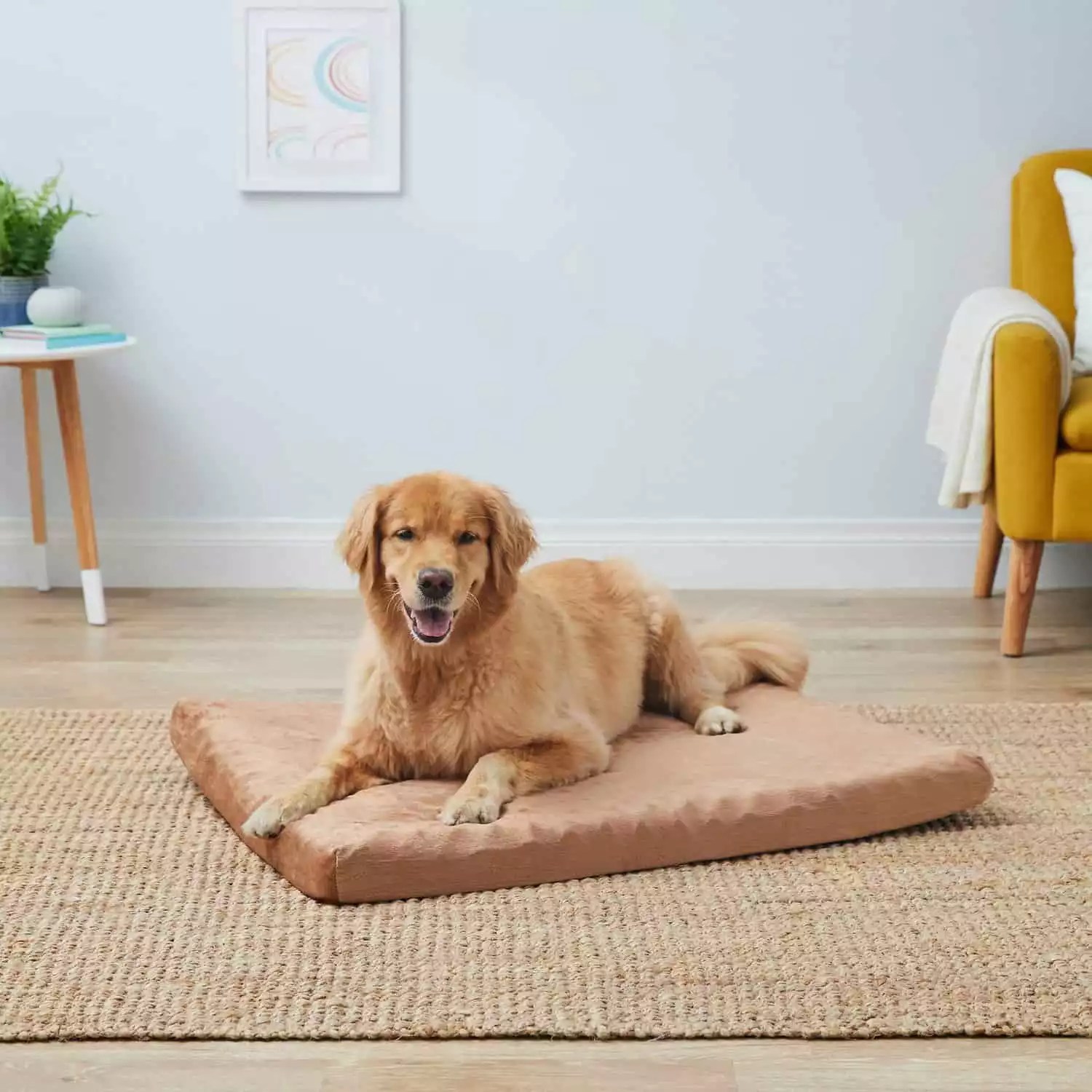 10 Best Dog Beds For Reviews And A Buyer's Guide