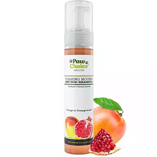 8 Best Shampoos For A Doberman Making Your Dobie Smell Good