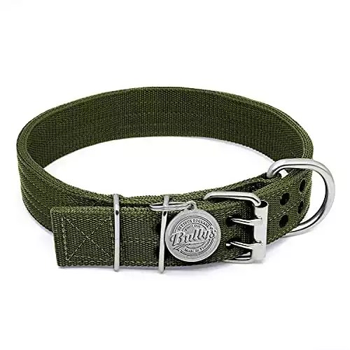 12 Best Collars For American Bully Dogs