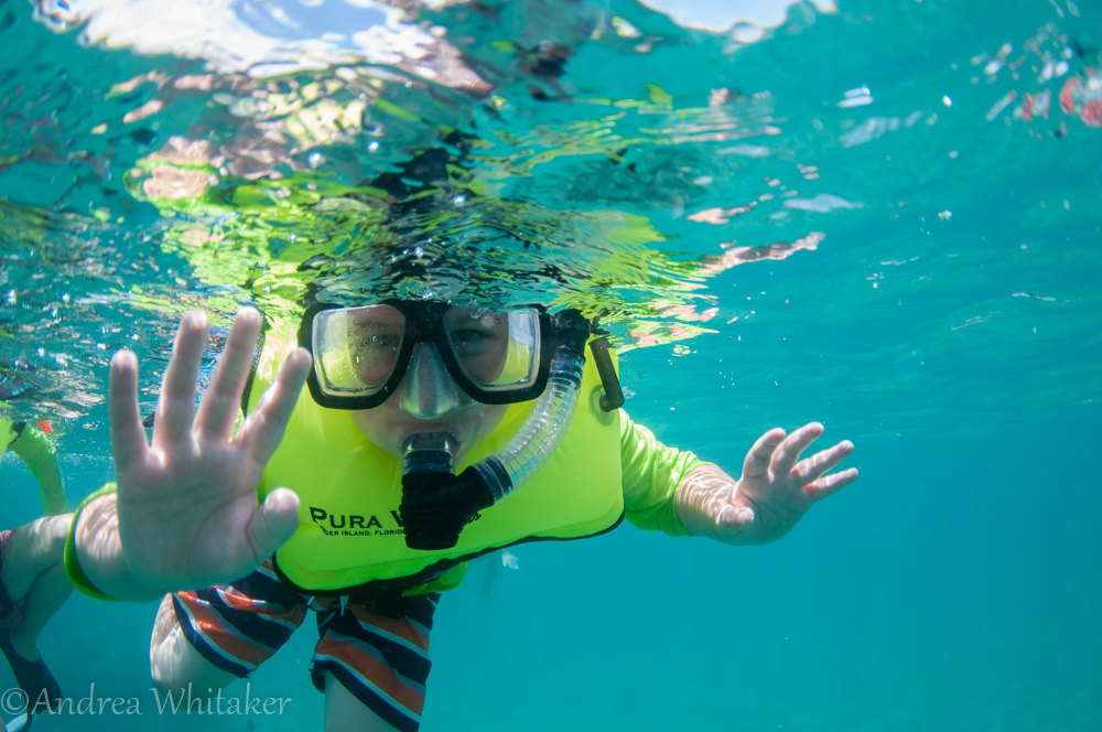 SNORKEL CAMP PHOTO GALLERY PURA VIDA DIVERS