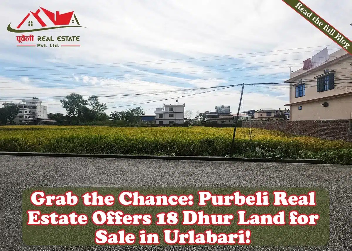 Grab the Chance Purbeli Real Estate Offers 18 Dhur Land for Sale in