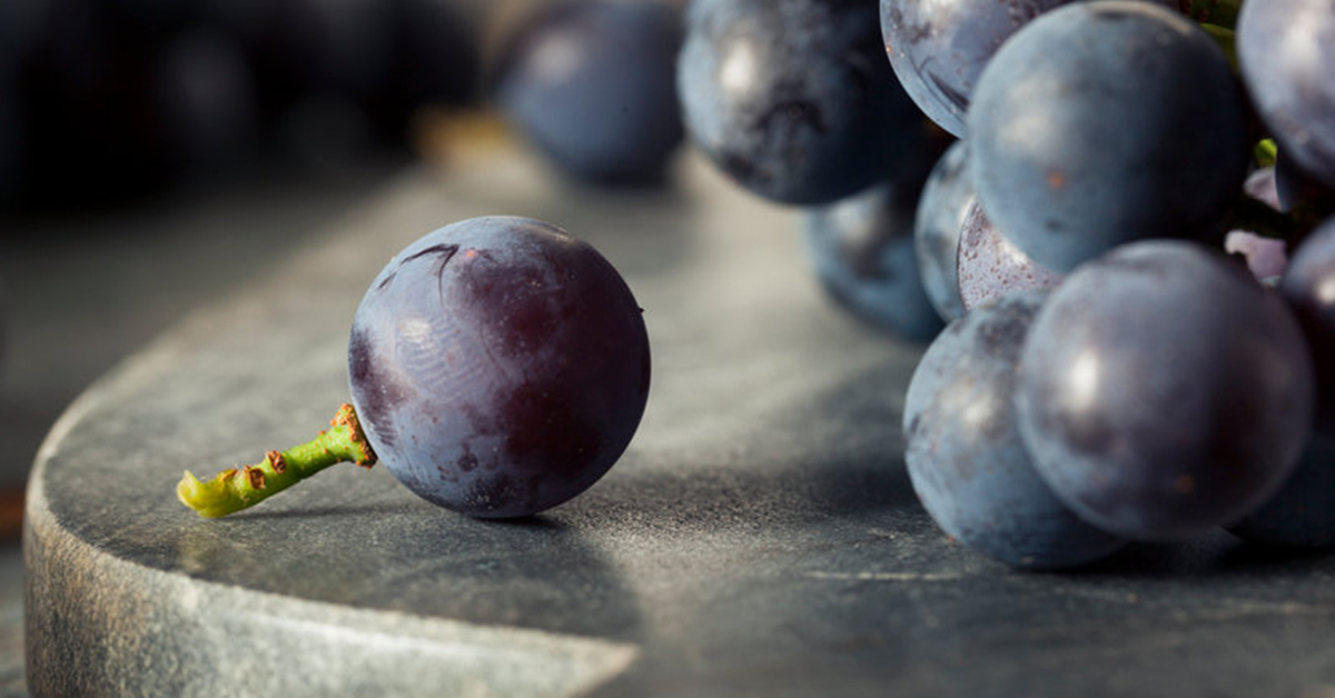 The Classic American Concord Grape Fruit Pureés Puree Arete