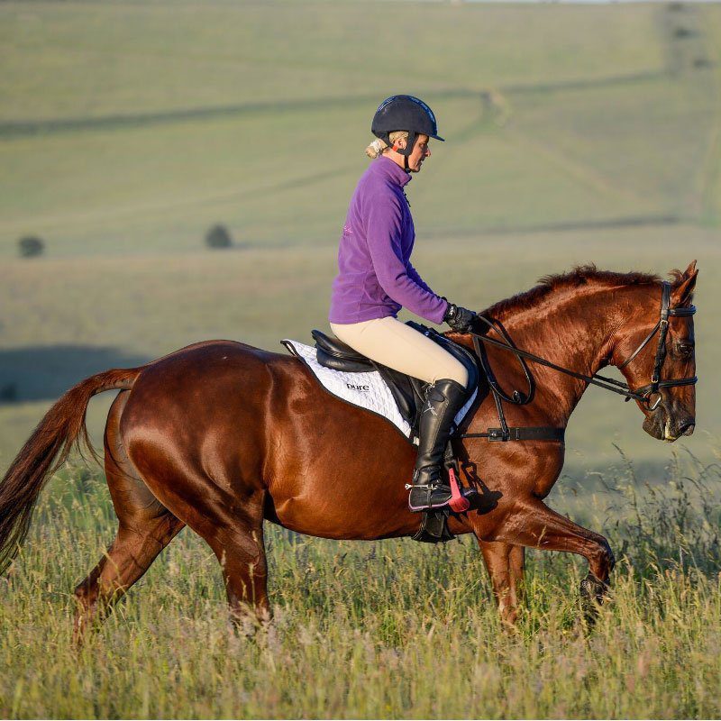 How to put weight on a horse Pure Condition and weight gain Pure Feed