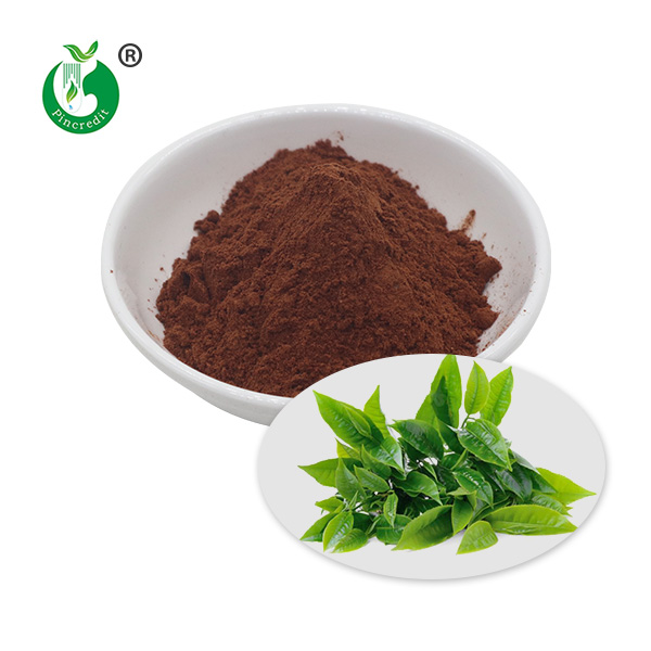 Green Tea Extract Powder, Camellia Sinensis Leaf Extract Wholesale Supplier