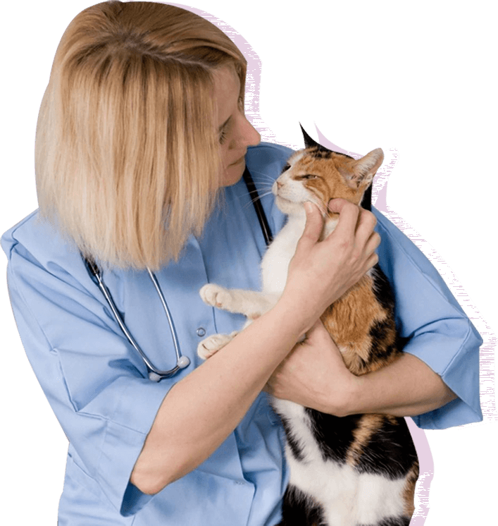 Natural Supplements For Pets Health Care For Pets Purely Pets