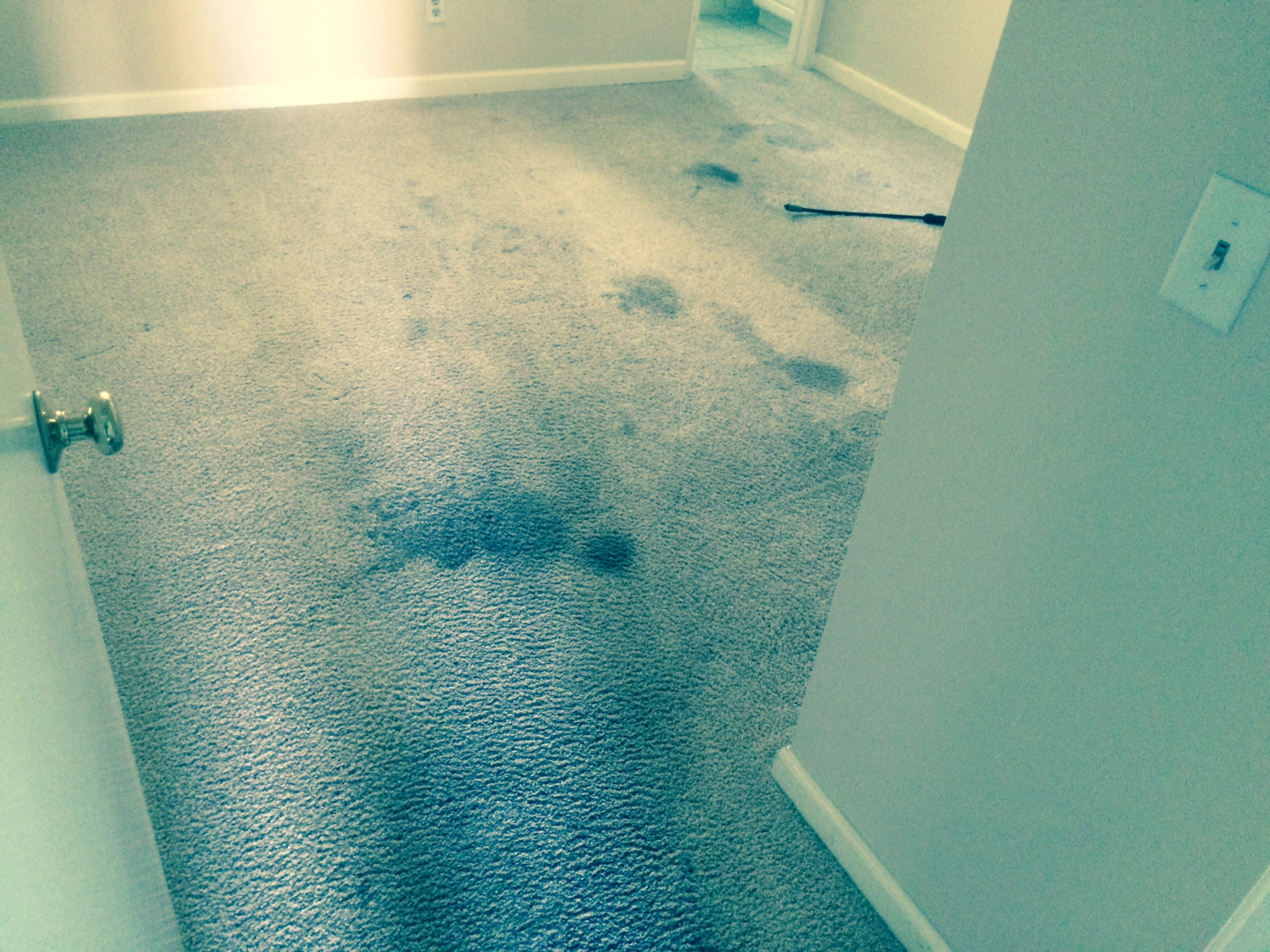 Professional Stain Removal How to Prevent Stains from Recurring