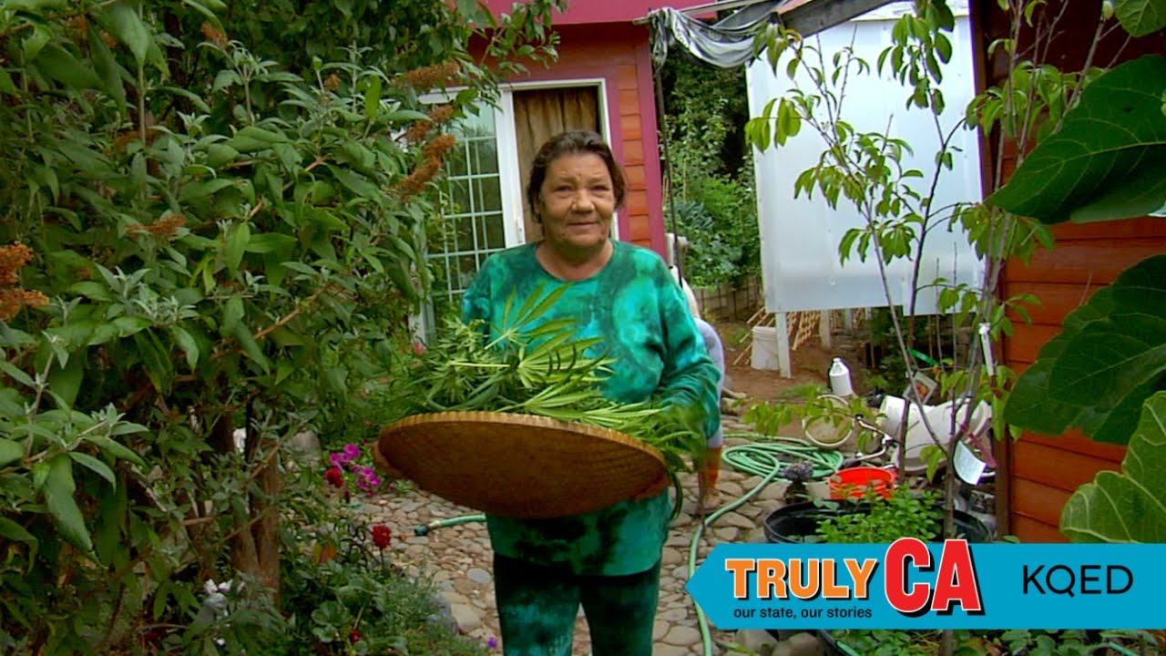 Humboldt Village Annex at Patricia Quintero blog