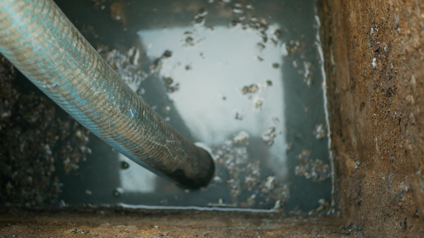 What Causes Sewage Backups in Homes? PuroClean of Aurora