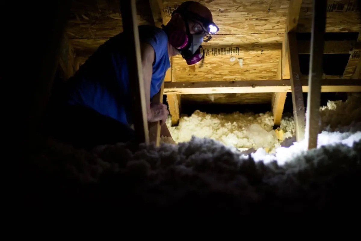 Mold in Crawl Space How to Prevent and Remove It