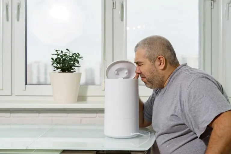 Mold in Humidifier How to Remove Mold from Humidifier PuroClean HQ