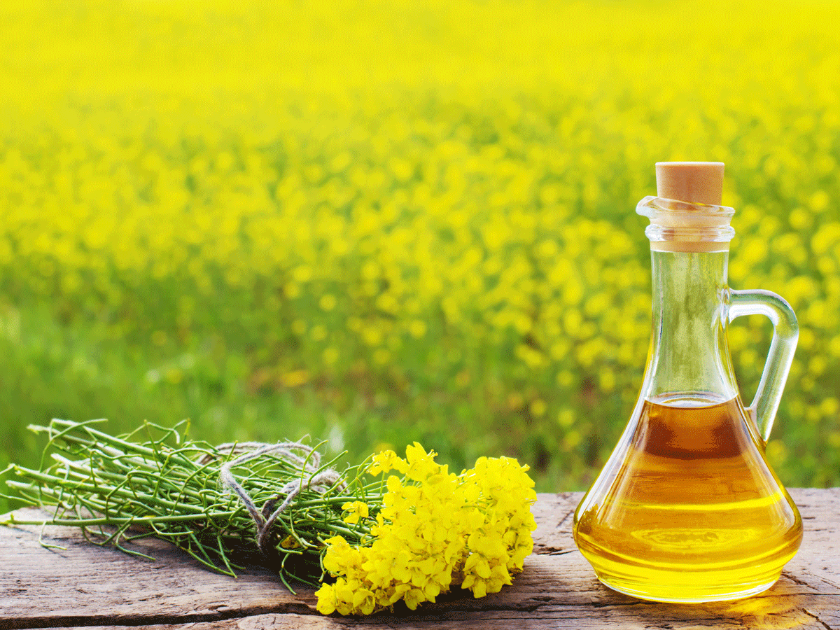 Health Benefits of Mustard Oil Purti