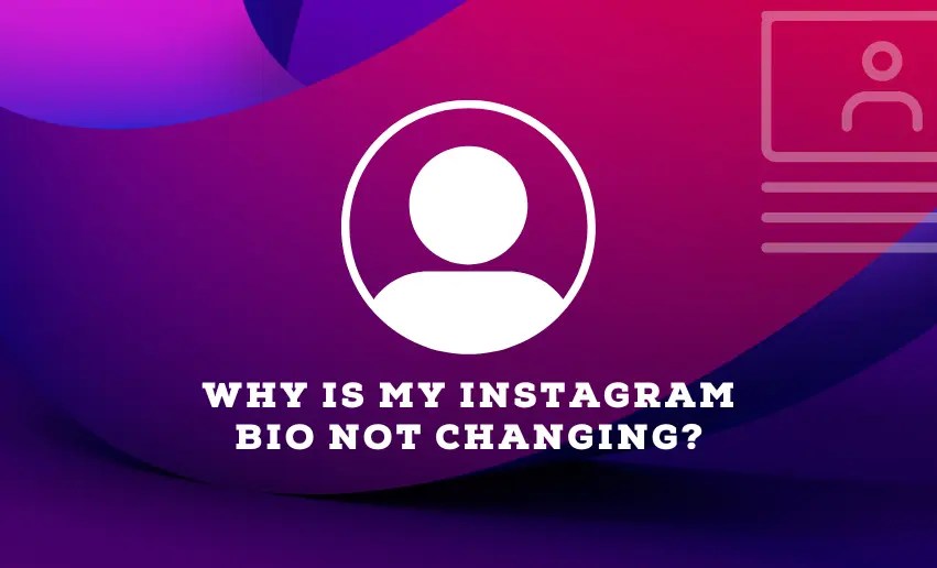 Why Is My Instagram Bio Not Changing? Pushbio