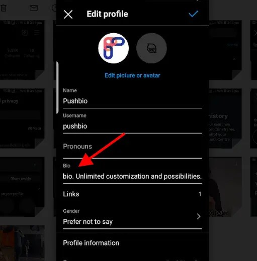 Where Is The Bio On Instagram? Pushbio