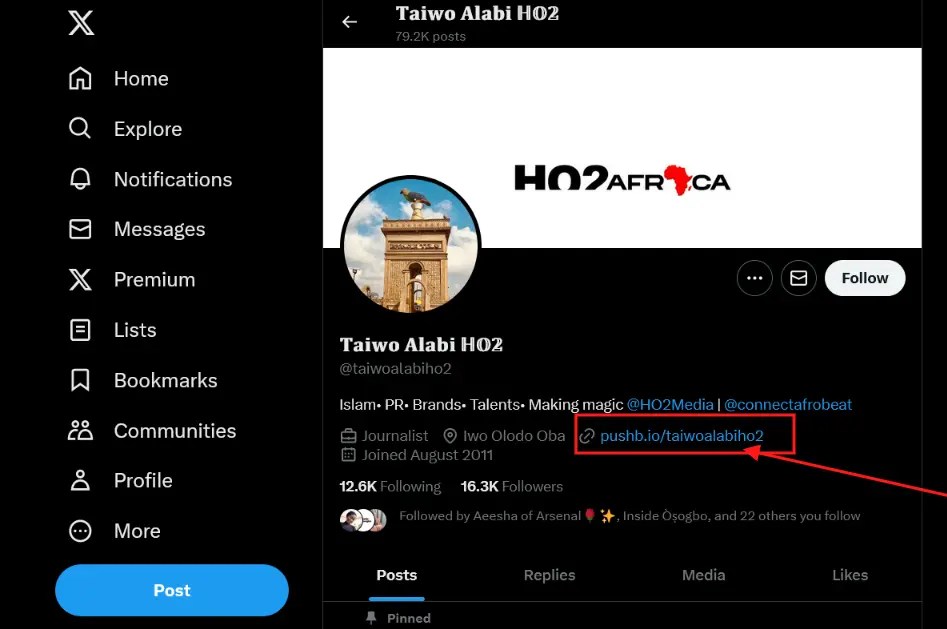 Link In Bio What Does It Mean And Why You Need One? Pushbio