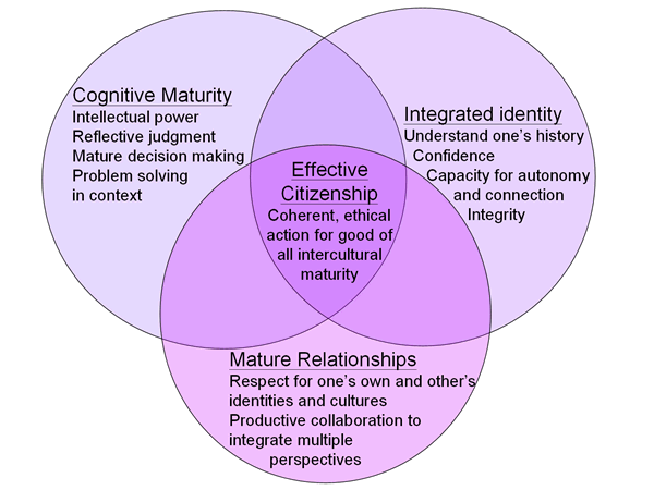 Learning partnerships : theory and models of practice to educate.