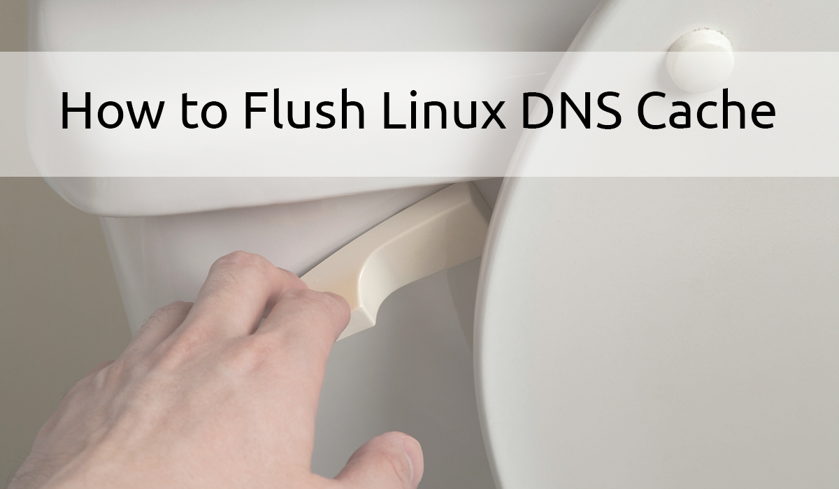 How to Flush Local DNS Cache on Linux Putorius