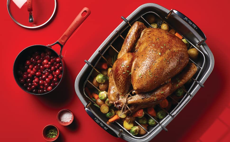 Top 10 Best Roasting Pans in 2022 Reviews Buying Guide