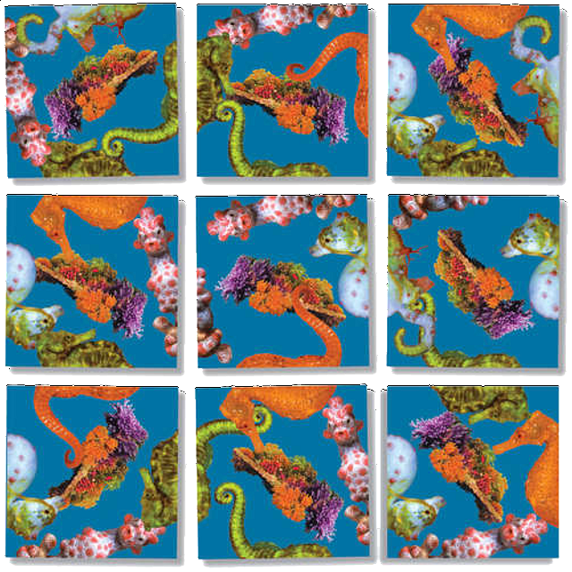 Scramble Squares Seahorses Tile Puzzles Puzzle Master Inc