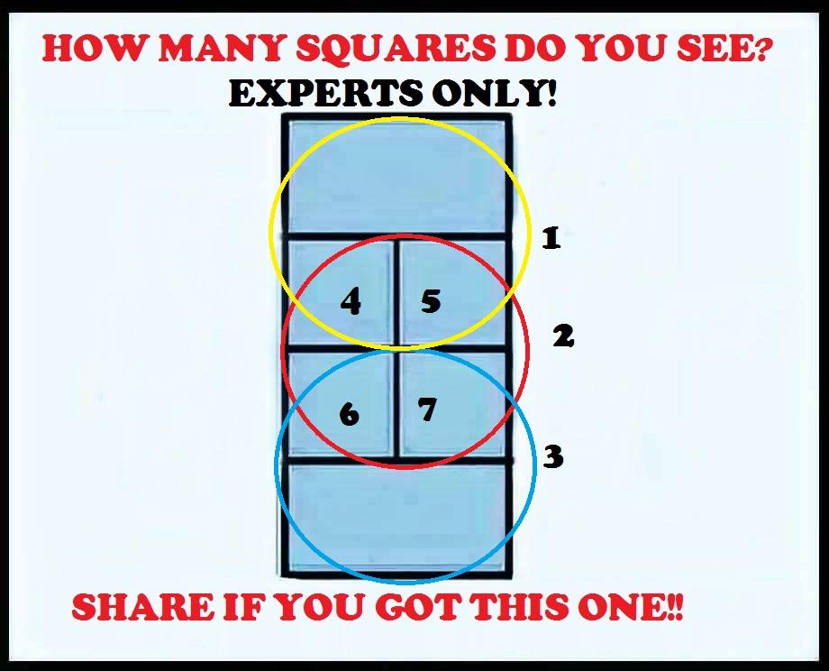 How Many Squares Puzzle - PB