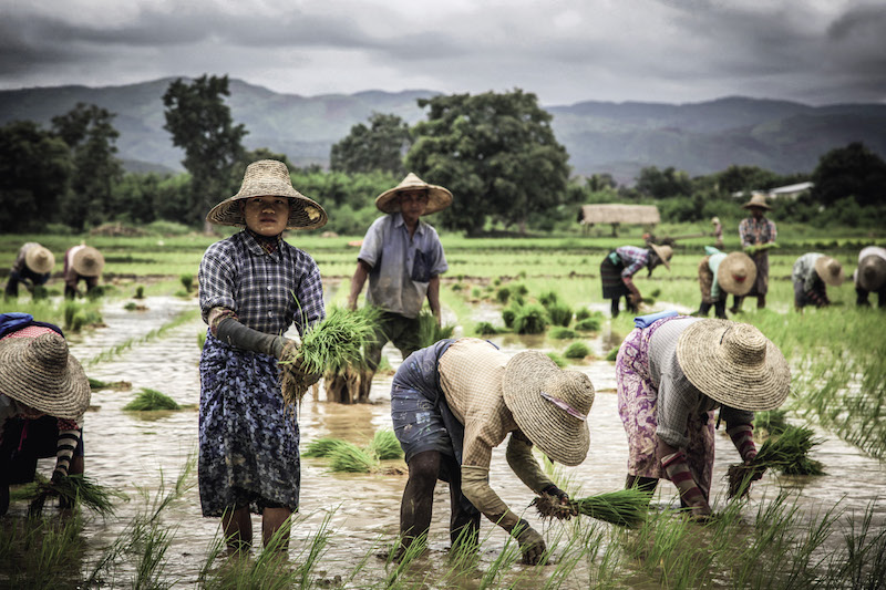 130 MW solar project announced in Myanmar pv magazine International