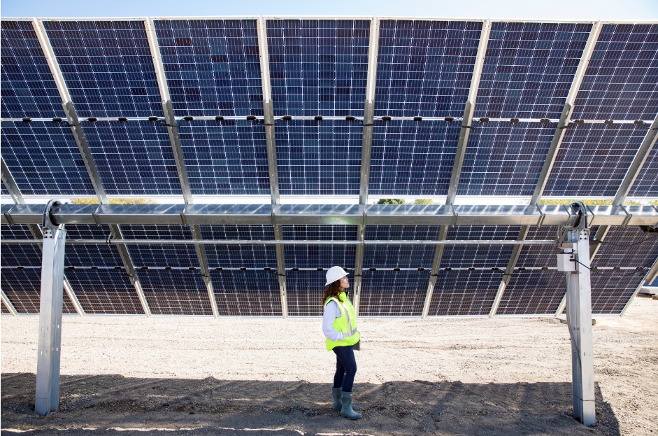 Bifacial with singleaxis trackers is lowcost king for global solar