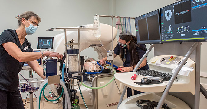 Radiology + Imaging Portland Veterinary Emergency and Specialty Care